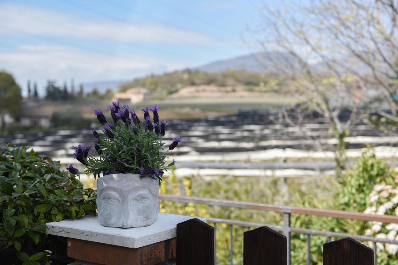 Relais Il Pigno Guest House Афи Екстериор снимка